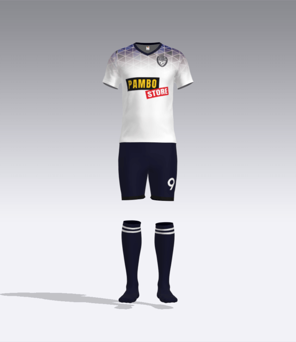 GEOMETRC DEGRADATION